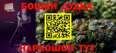 спиды Дубна