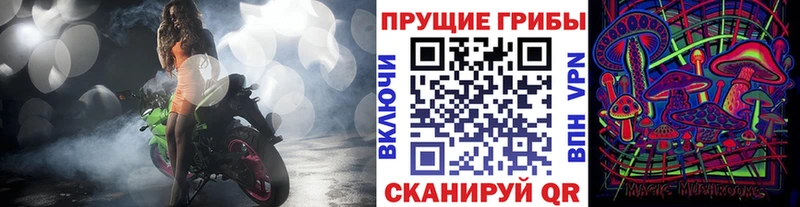 Галлюциногенные грибы Cubensis  сколько стоит  shop наркотические препараты  Коммунар 